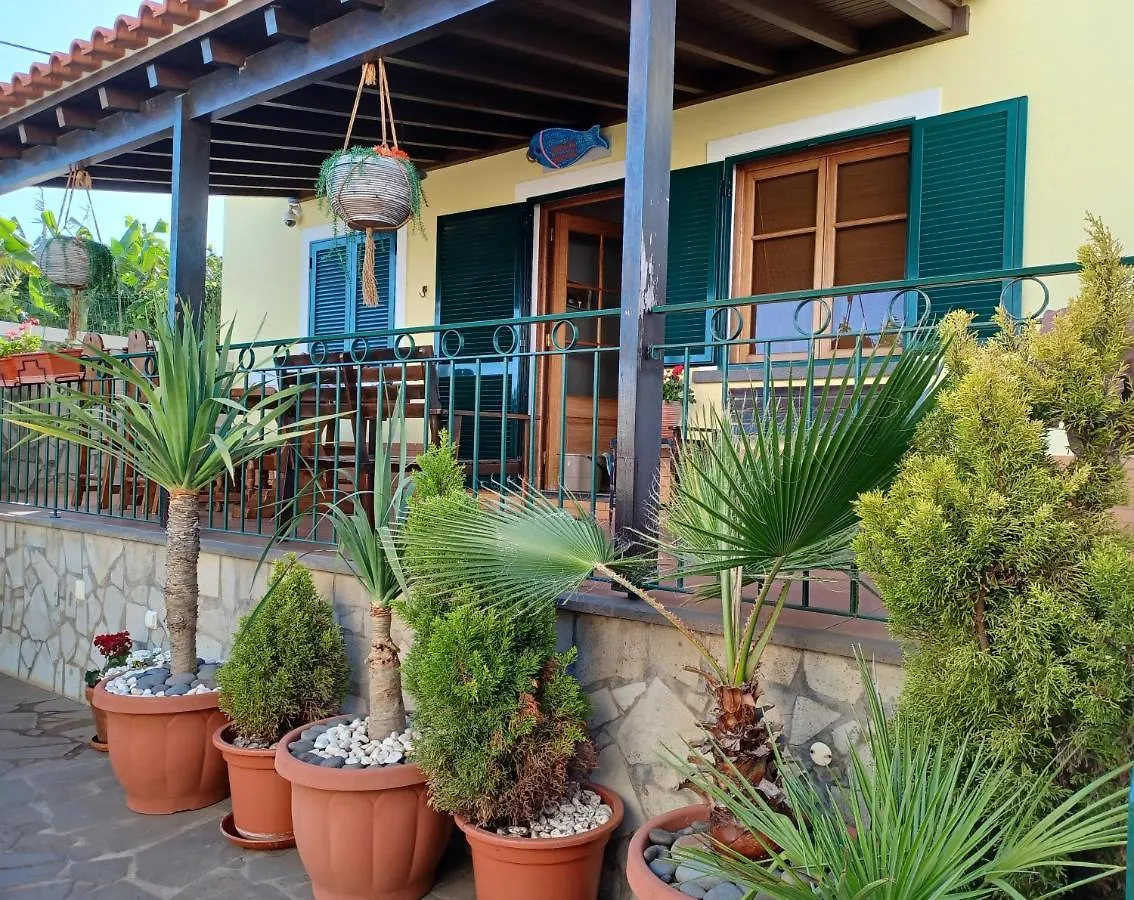 Holiday home House Near Cr7 Museum Villa Funchal  Portugal