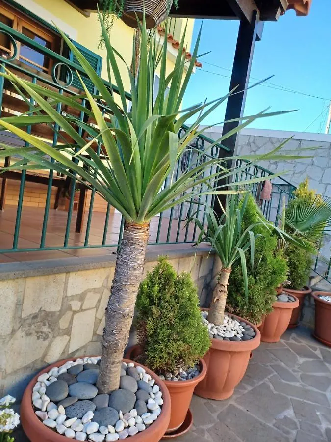 House Near Cr7 Museum Villa Funchal  Portugal